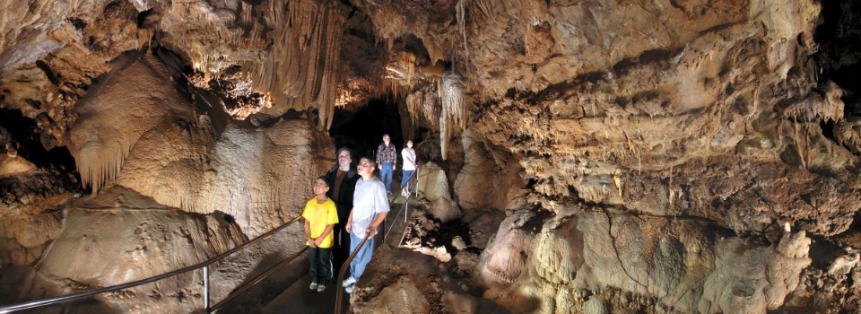 Shasta Caverns